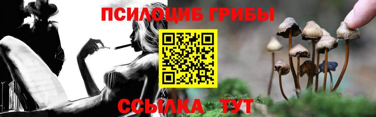 Галлюциногенные грибы Psilocybine cubensis  купить наркоту  Орехово-Зуево  Вход с VPN 